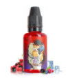 CONCENTRÉ SEIRYUTO - FIGHTER FUEL - 30ML