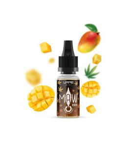 MAW EED - ARÔME CONCENTRÉ - MAW - REVOLUTE - 10 ML