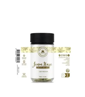 LEMON HAZE CBD 12G – ZESTE ULTRA-FRÉSH