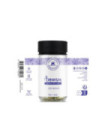 AMNESIA CBD 12G – VAGUE CITRONNÉE