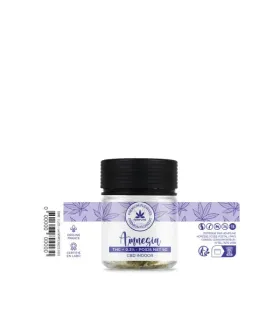 AMNESIA CBD 5G – FLASH CITRONNÉ