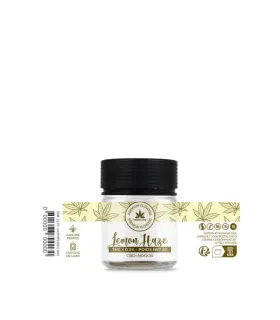 LEMON HAZE CBD 5G – PUNCH ACIDULÉ