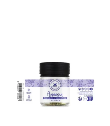 AMNESIA CBD 5G – FLASH CITRONNÉ