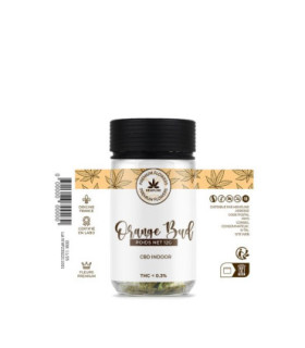 ORANGE BUD CBD 12G – SOLEIL DANS CHAQUE TÊTE