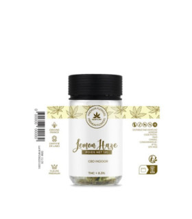 LEMON HAZE CBD 12G – ZESTE ULTRA-FRÉSH