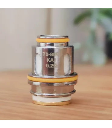 GEEKVAPE Z 0,15 OHM | 80-90W