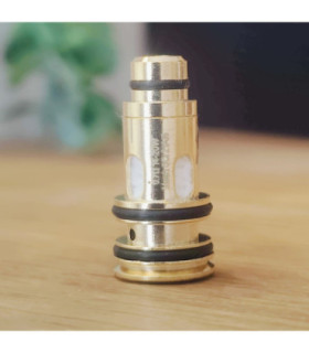 Résistances DotCoil DotAIO V2 DotMod – Pack de 5