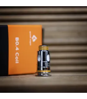 GEEKVAPE B 1,2 OHM | 10-14W