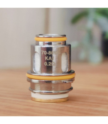GEEKVAPE Z 0,15 OHM | 80-90W