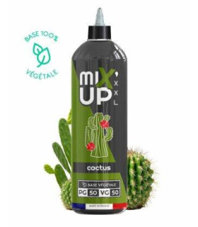 CACTUS XXL