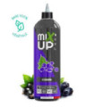CASSIS - 50 ML / 100 ML / 200 ML - MIX'UP XXL - CDS LAB