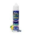 MALOTRU 50 ML MULTI FREEZE – MYRTILLE & CITRON GLACÉ, EXPLOSION POLAIRE - E-LIQUIDE 50 ML