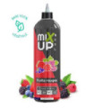FRUITS ROUGES XXL