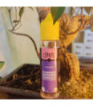 MANGUE PASSION VANILLE - 50 ML - CIRKUS - VDLV
