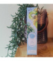 KIWI CACTUS FRAIS - 50 ML - LE PETIT VERGER - SAVOUREA