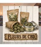 FLEURS | EVAPSAVEURS